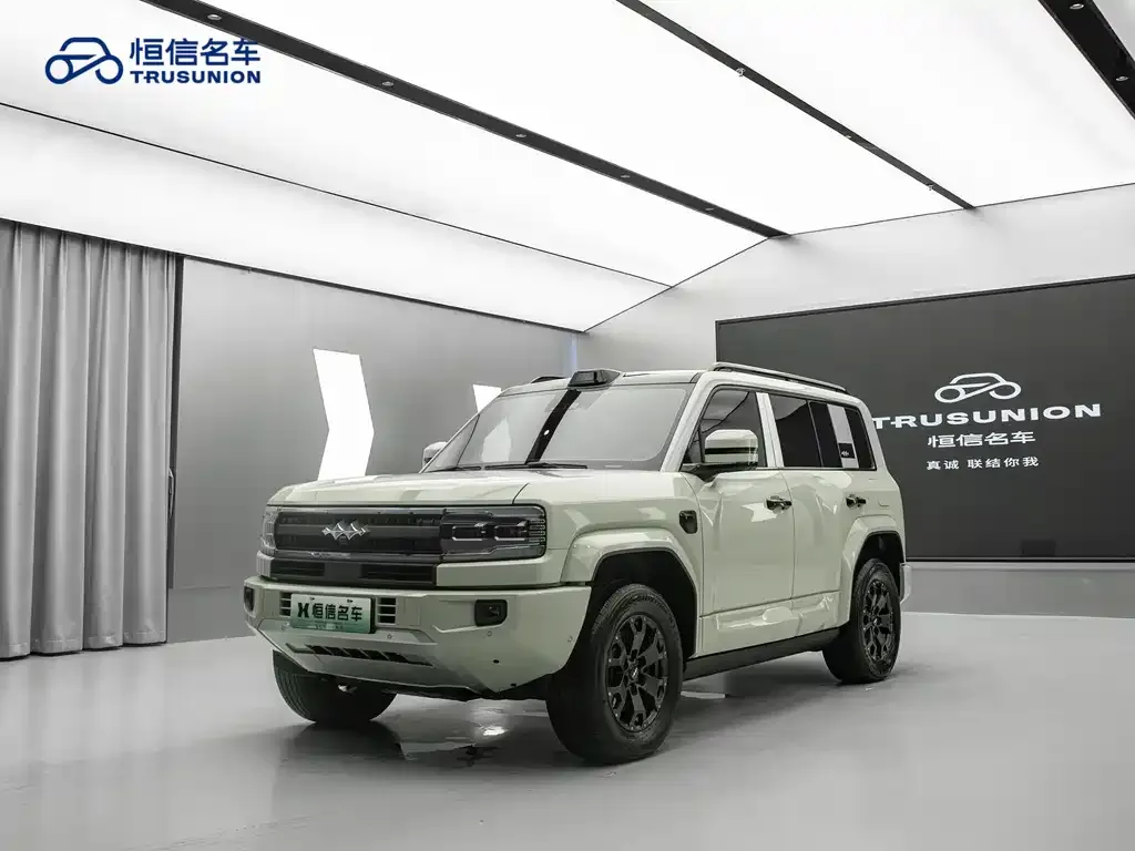 Fang Cheng Bao Leopard 5 2025 из CN, фото 1