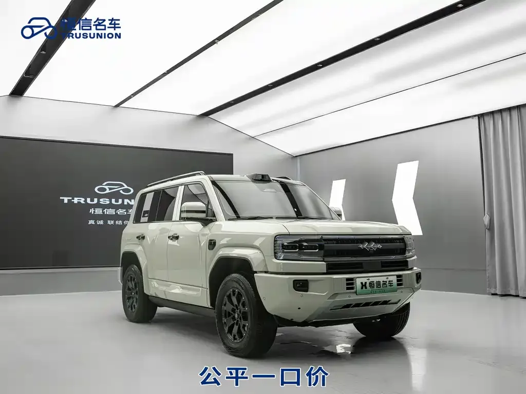 Fang Cheng Bao Leopard 5 2025 из CN, фото 6