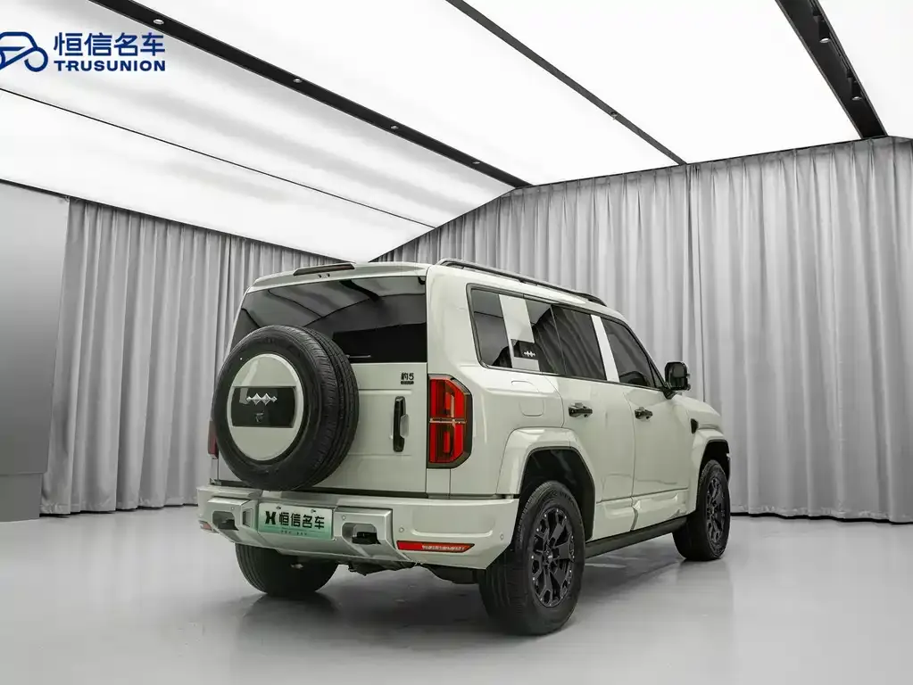 Fang Cheng Bao Leopard 5 2025 из CN, фото 7