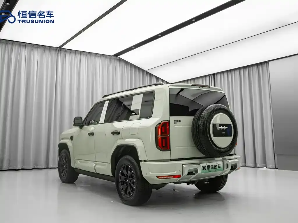 Fang Cheng Bao Leopard 5 2025 из CN, фото 9