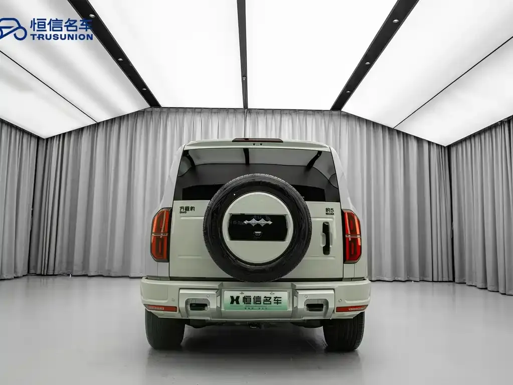 Fang Cheng Bao Leopard 5 2025 из CN, фото 10