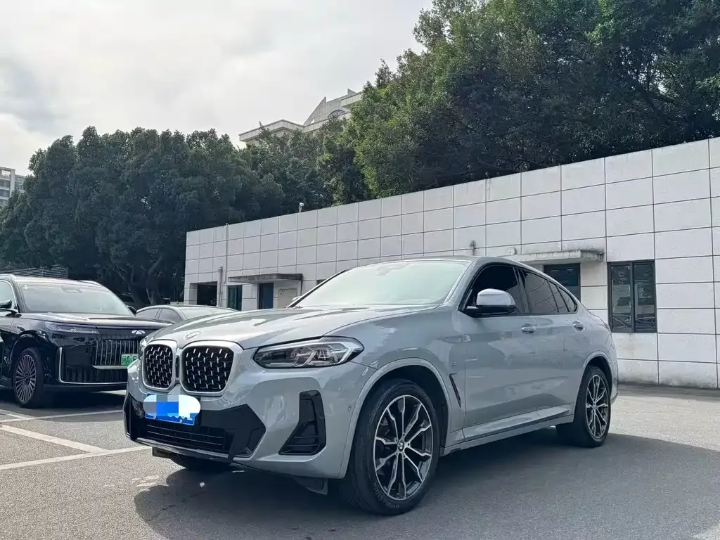 BMW X4 2022 из CN, фото 1
