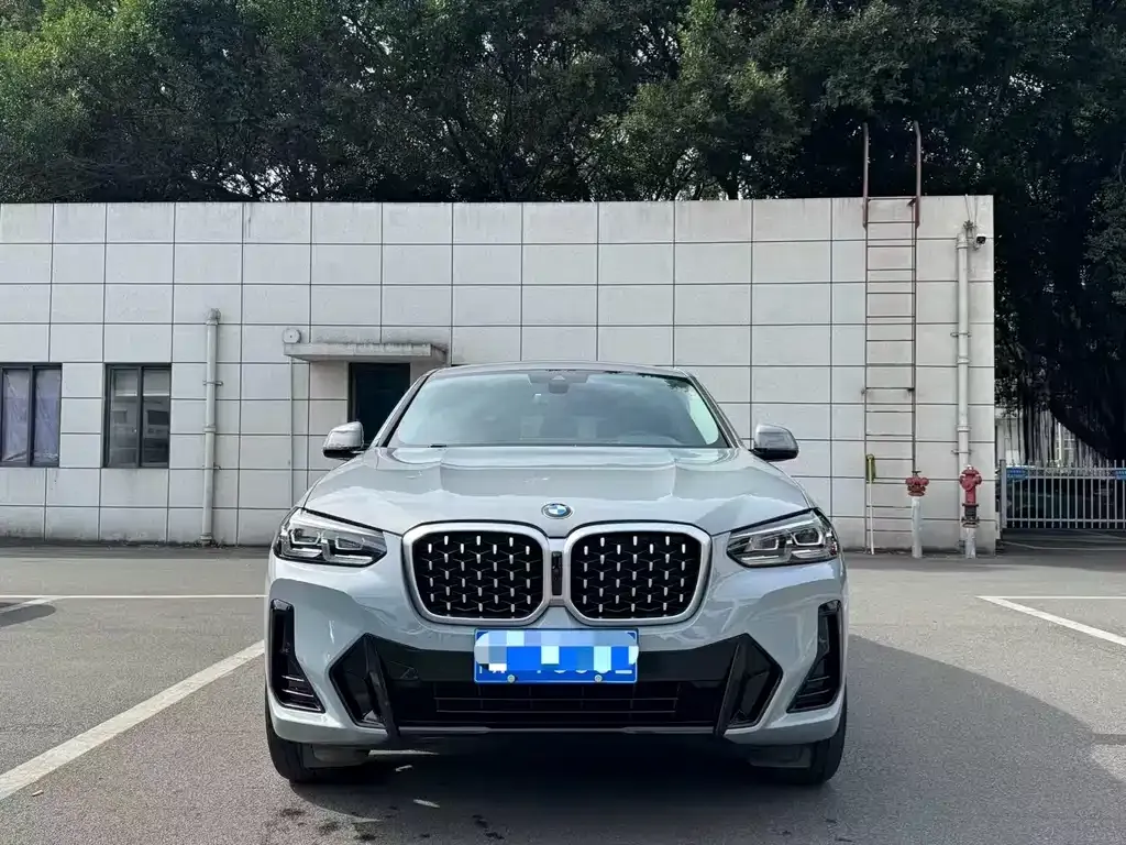 BMW X4 2022 из CN, фото 9