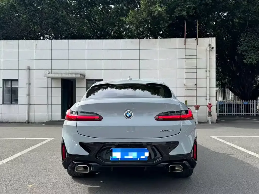 BMW X4 2022 из CN, фото 6
