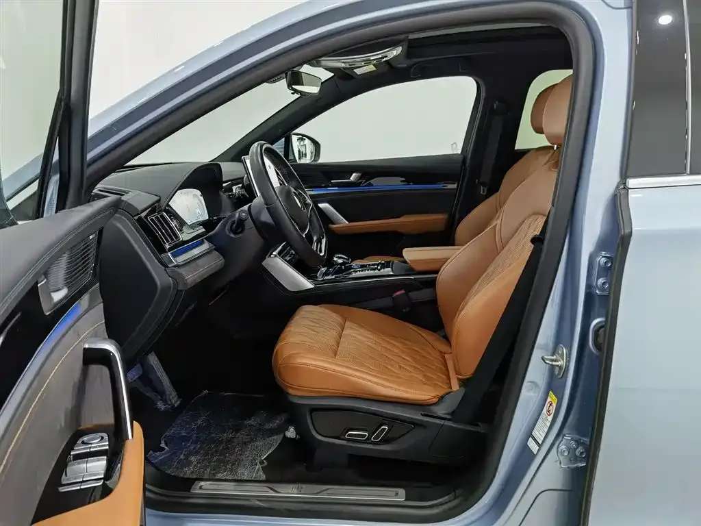 BYD Tang New Energy 2023 из CN, фото 3