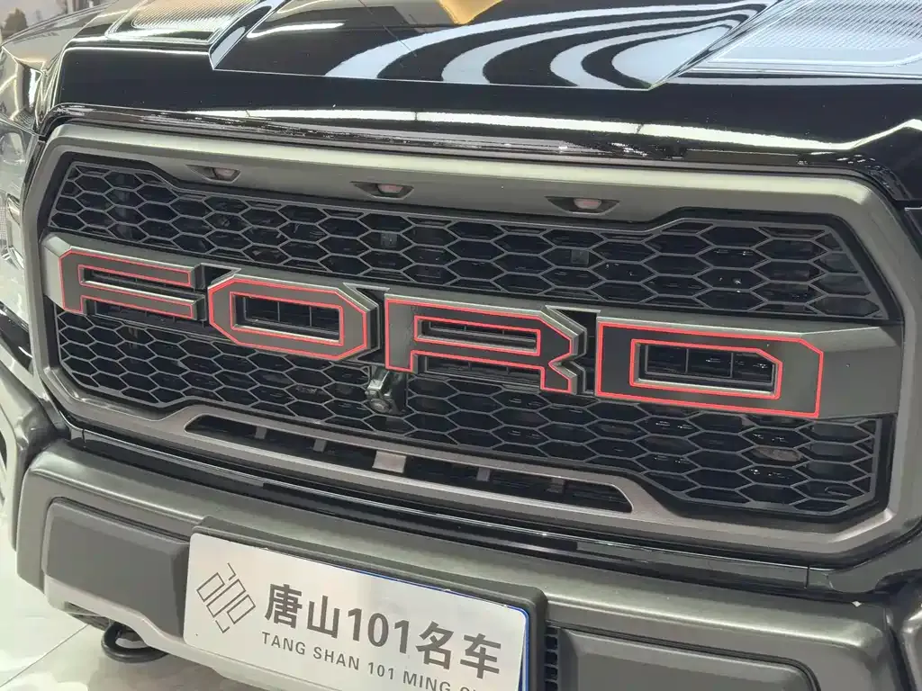 Ford F-150 Raptor 2021 из CN, фото 10