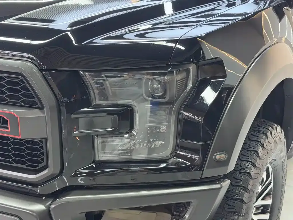 Ford F-150 Raptor 2021 из CN, фото 8