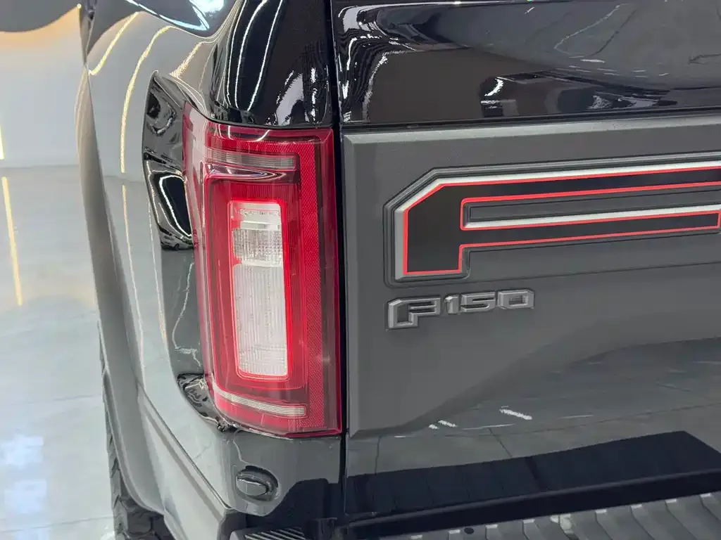 Ford F-150 Raptor 2021 из CN, фото 6