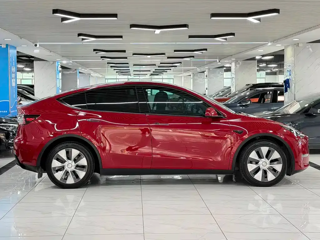 Tesla Model Y — фото 10