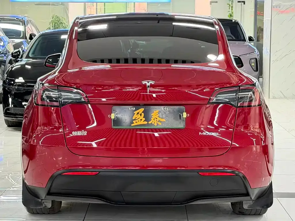 Tesla Model Y — фото 6