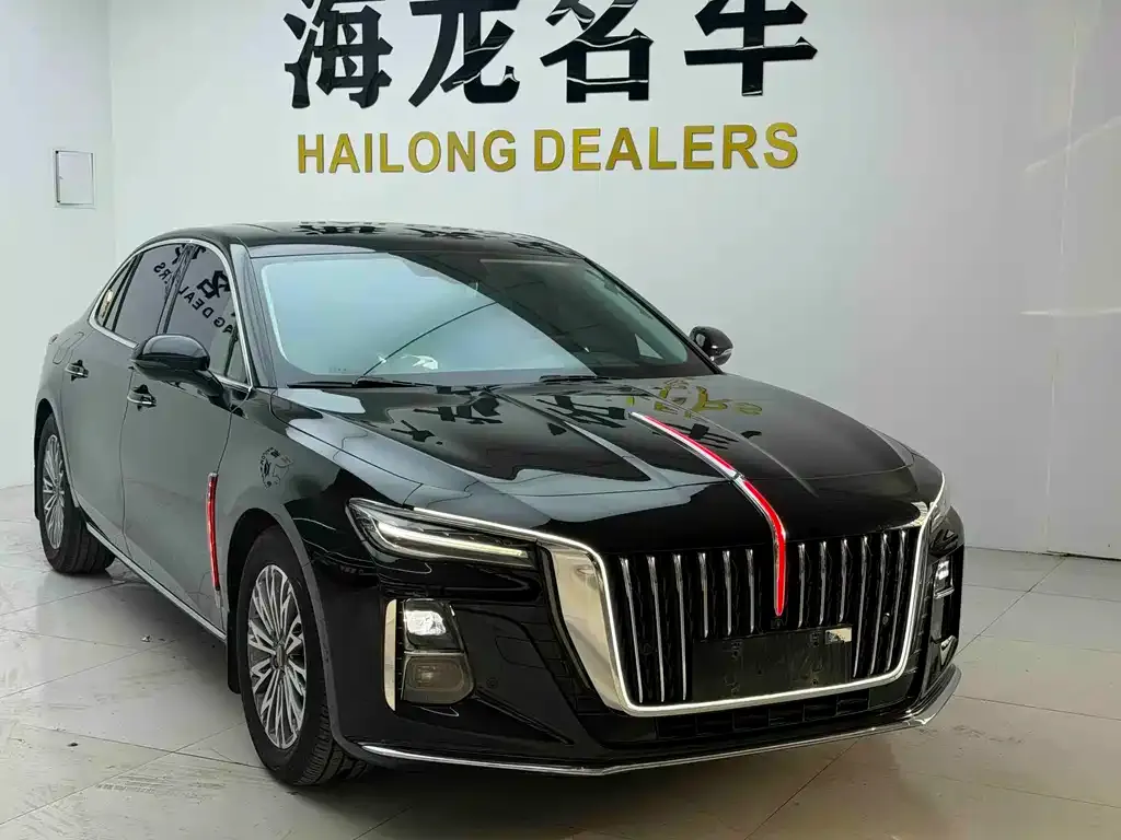 Hongqi H5 2023 из CN, фото 2
