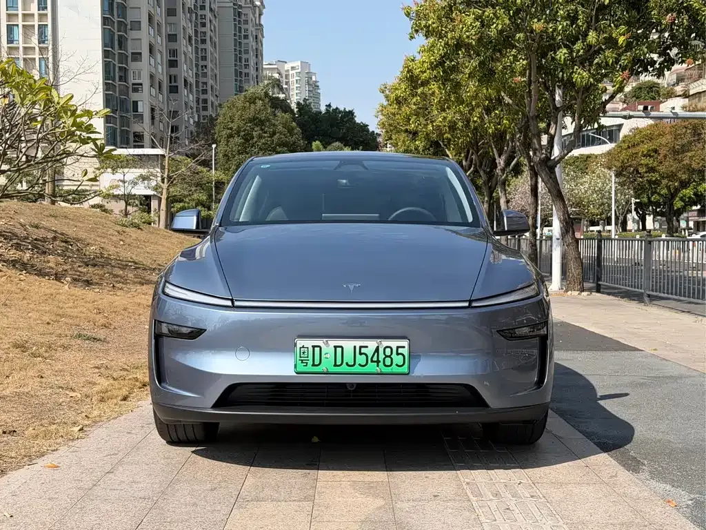 Tesla Model Y — фото 10