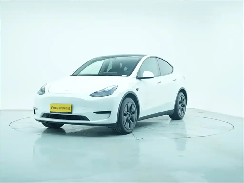 Tesla Model Y 2024 из CN, фото 6