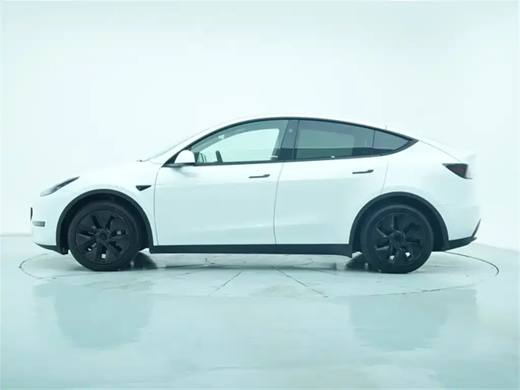 Tesla Model Y 2024 из CN, фото 5