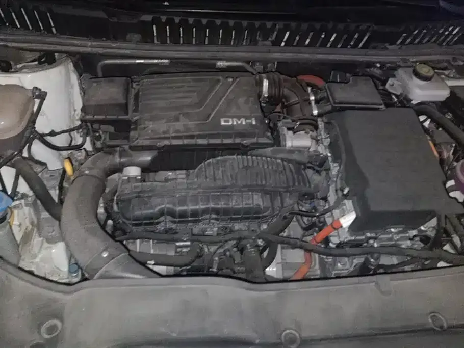 BYD MAX New Energy 2023 из CN, фото 10