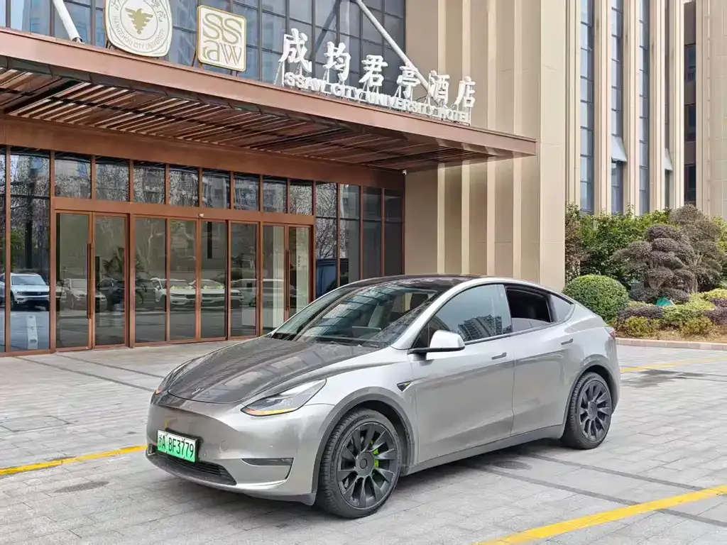 Tesla Model Y 2021 из CN, фото 1