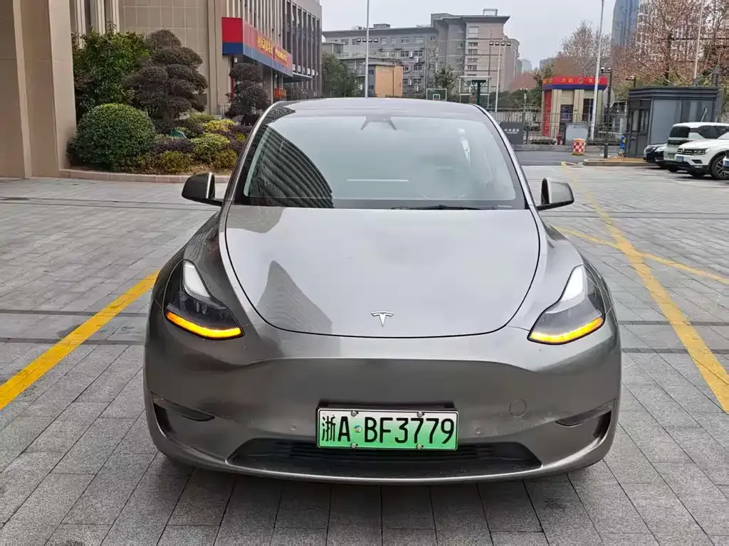 Tesla Model Y 2021 из CN, фото 6