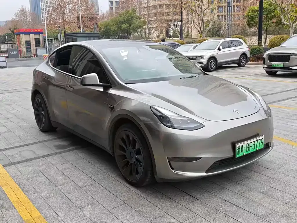 Tesla Model Y 2021 из CN, фото 3