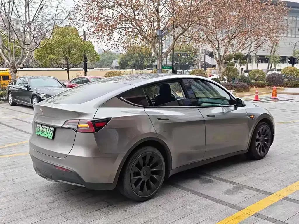 Tesla Model Y 2021 из CN, фото 5