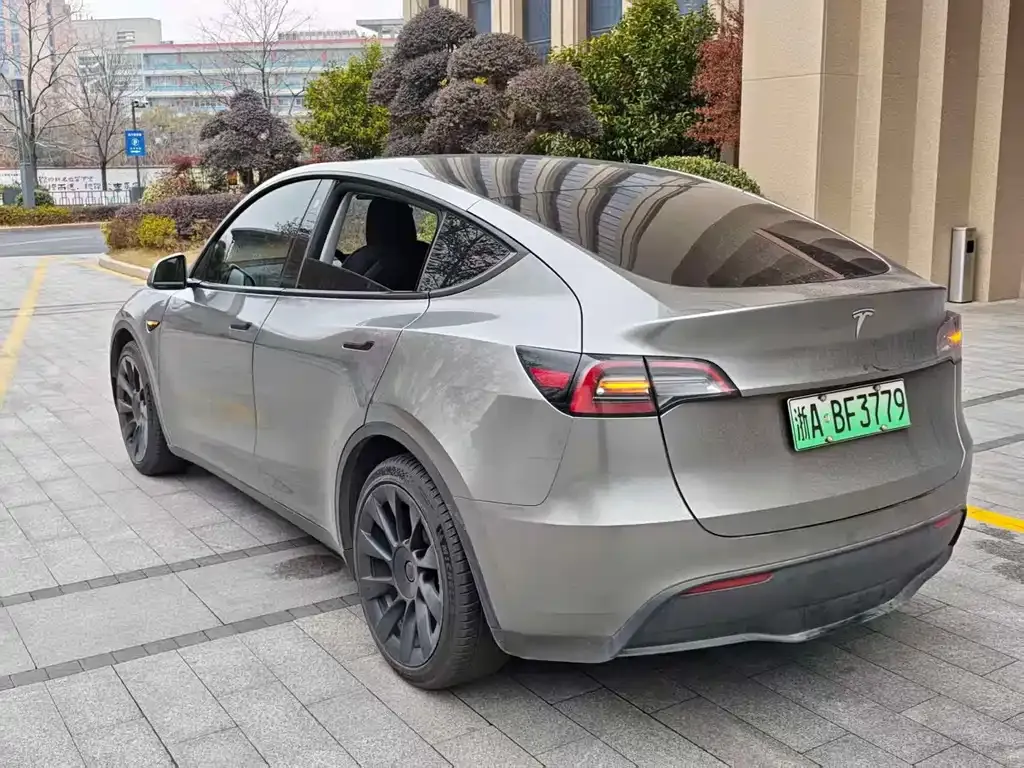Tesla Model Y 2021 из CN, фото 8