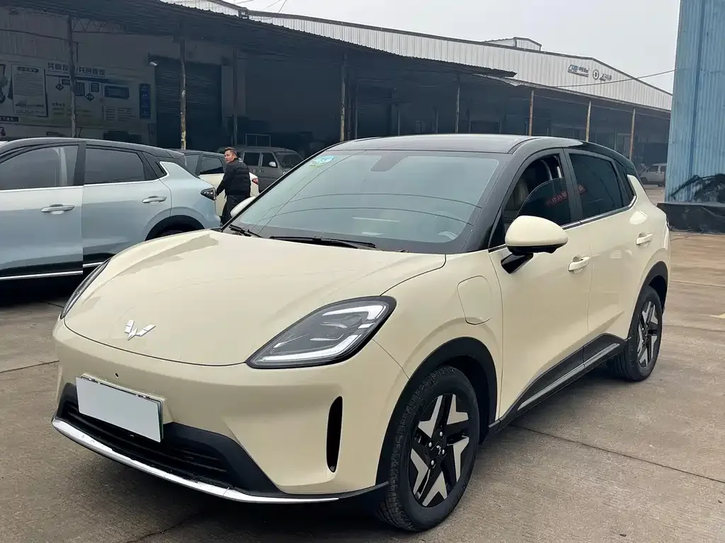 Wuling Bingo S