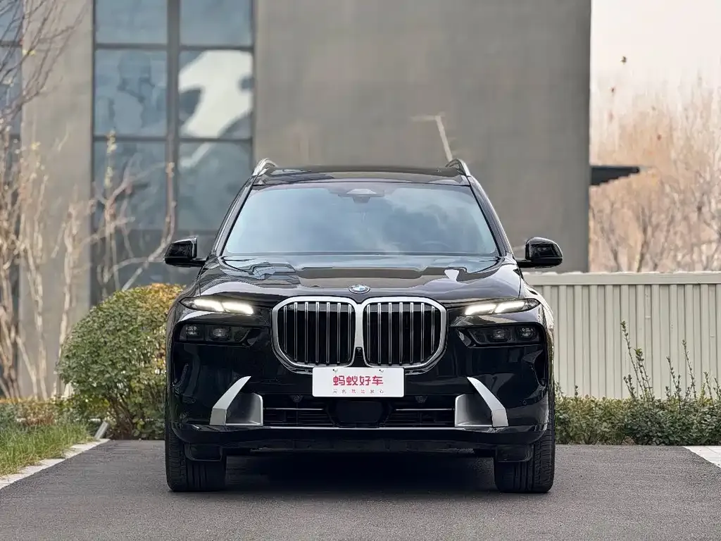 BMW X7 2023 из CN, фото 6