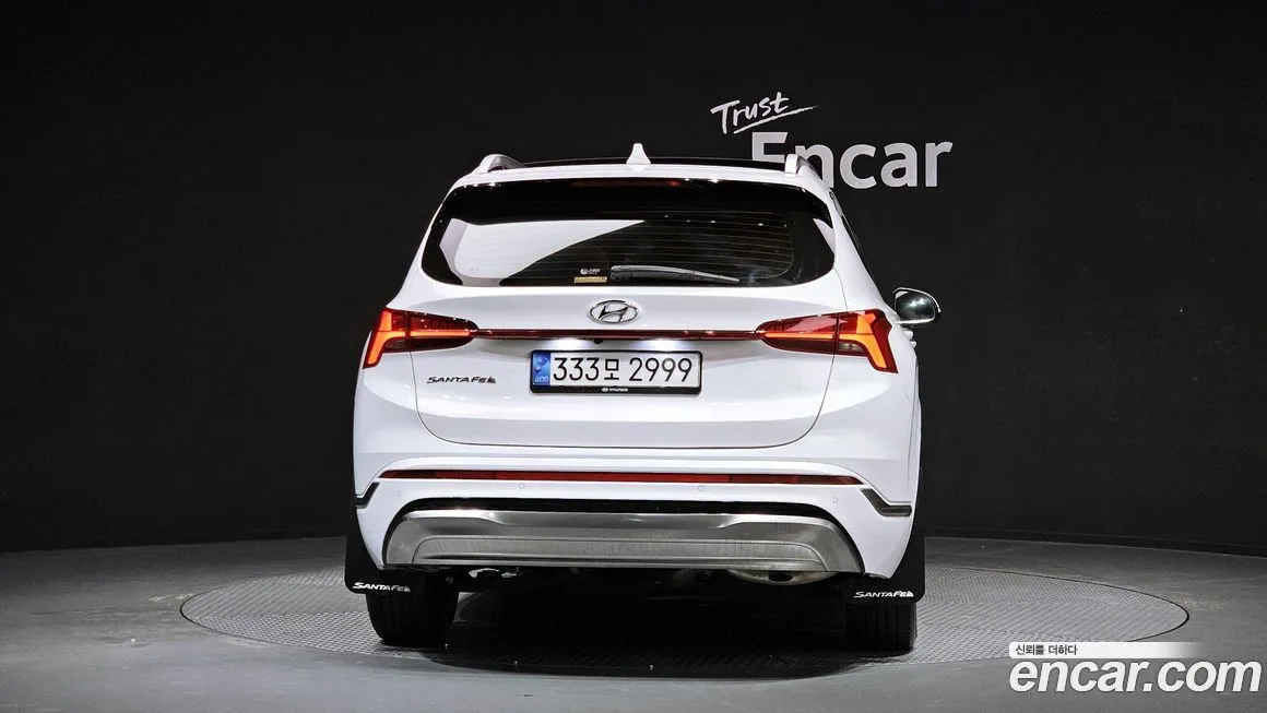 Hyundai Santafe 2022 из KR, фото 10