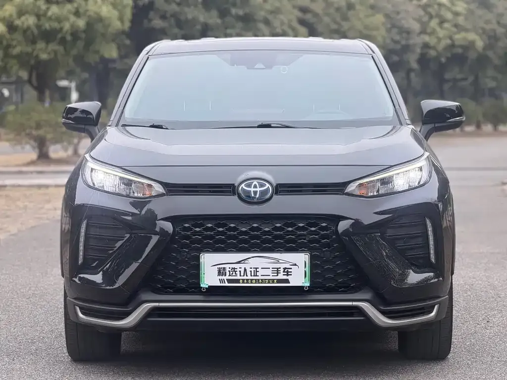 Toyota Wildlander New Energy 2021 из CN, фото 9