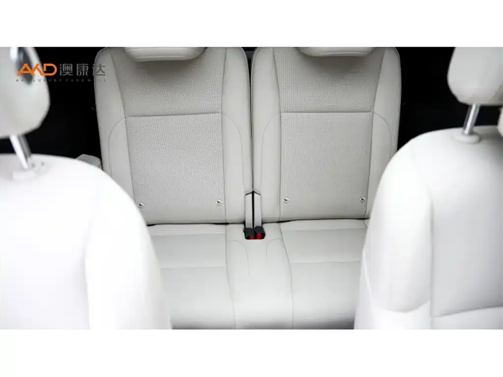 Li Auto L9 2023 из CN, фото 10