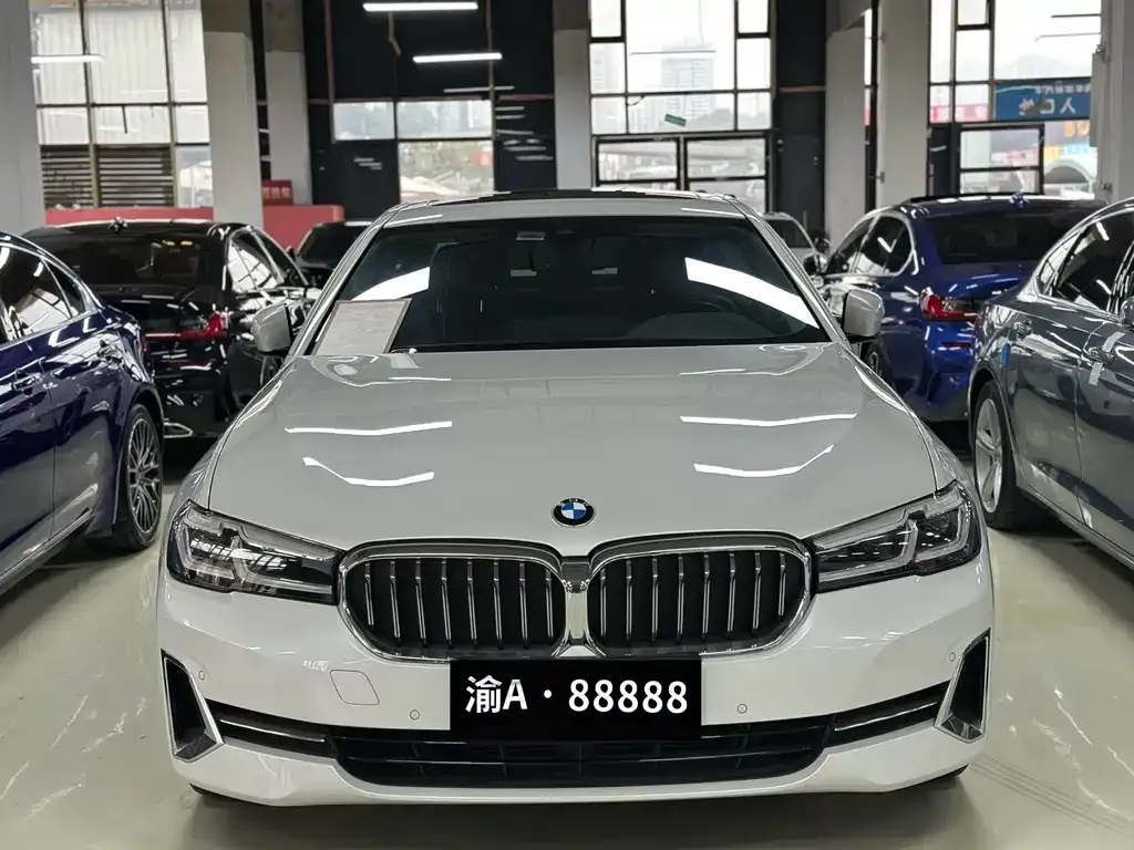 BMW 5 Series 2024 из CN, фото 5