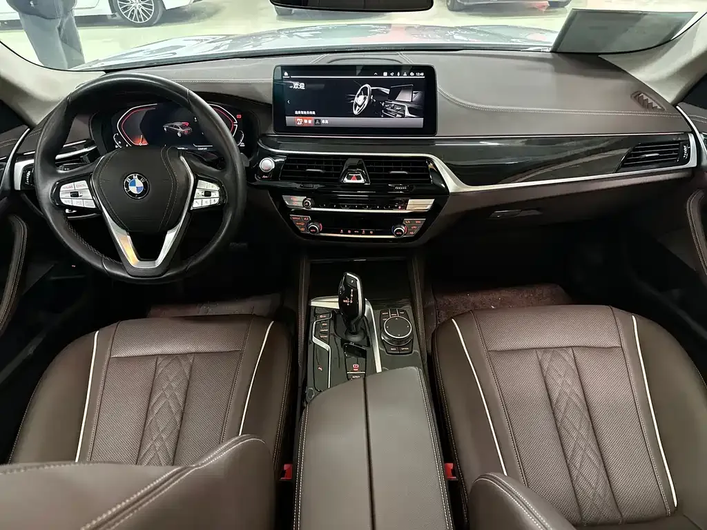 BMW 5 Series 2024 из CN, фото 8