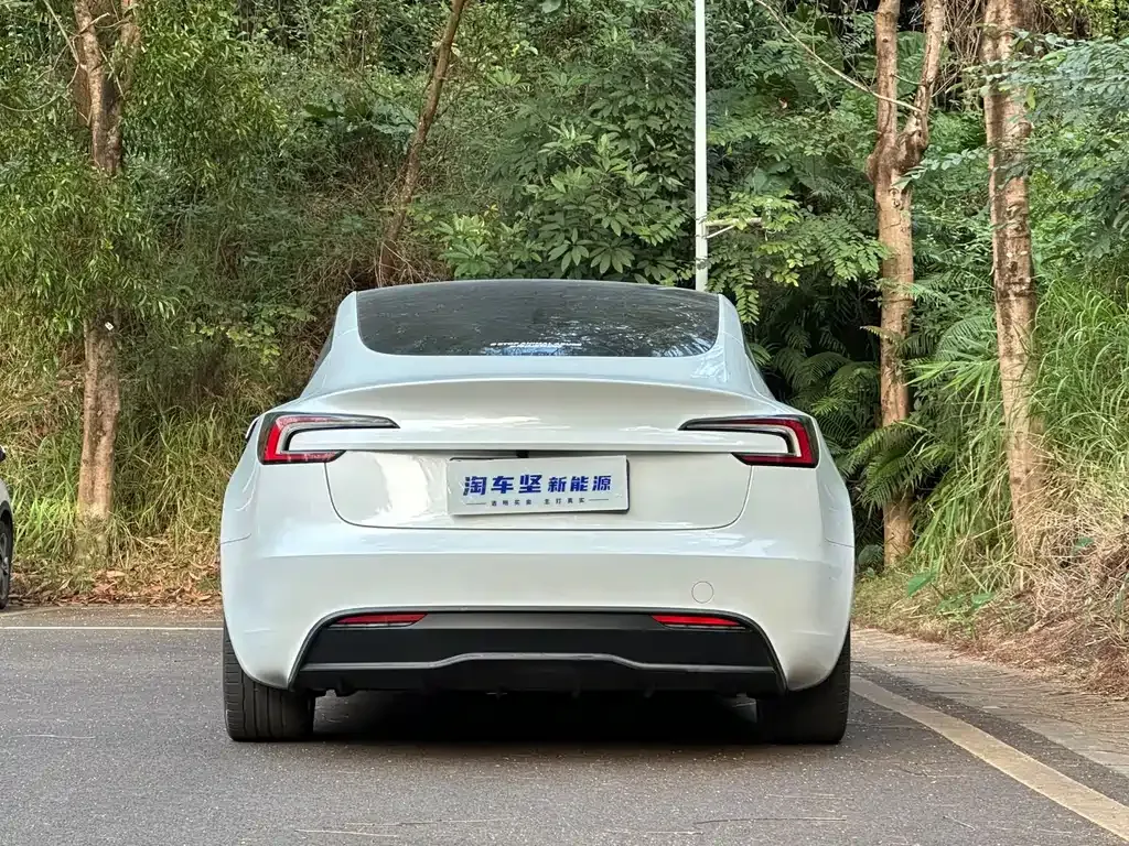 Tesla Model 3 2024 из CN, фото 6