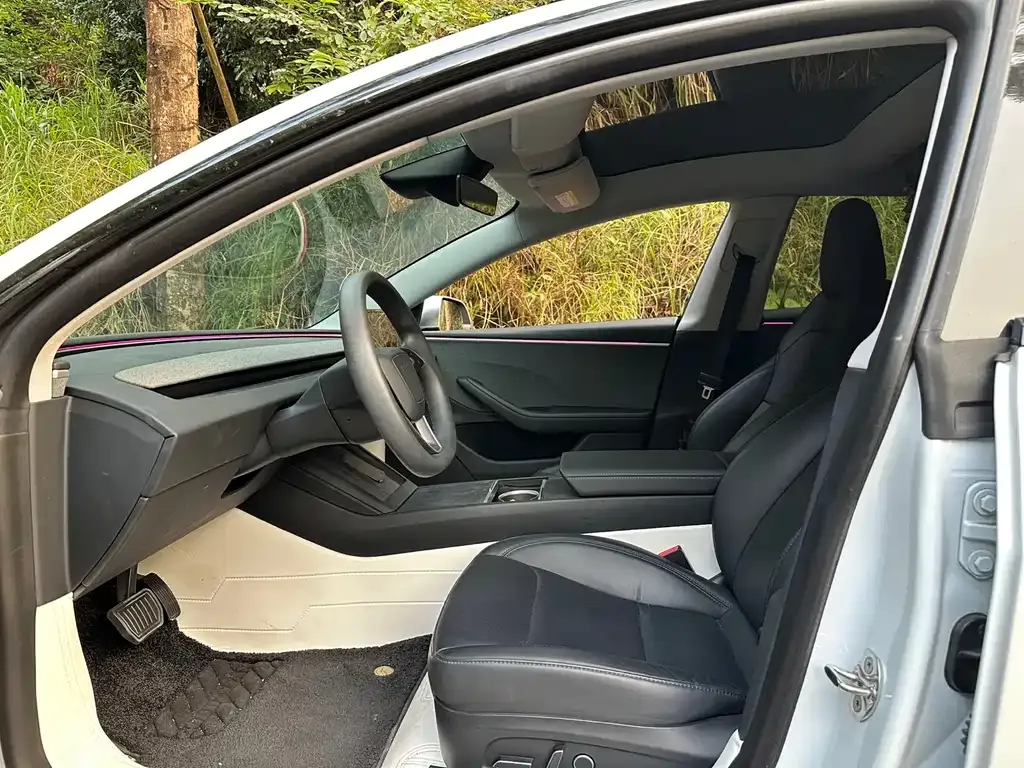 Tesla Model 3 2024 из CN, фото 4
