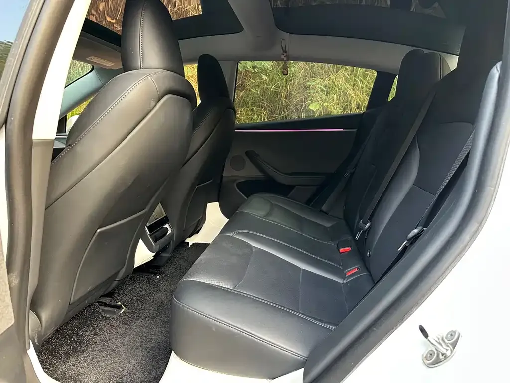 Tesla Model 3 2024 из CN, фото 3