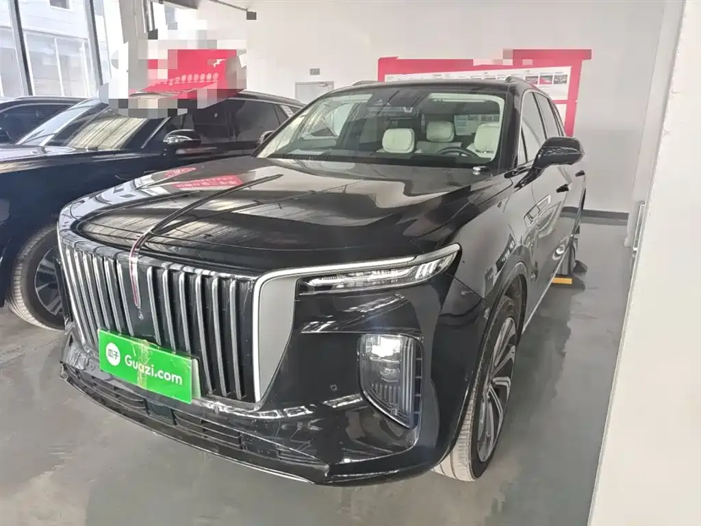 Hongqi E-HS9 2023 из CN, фото 5