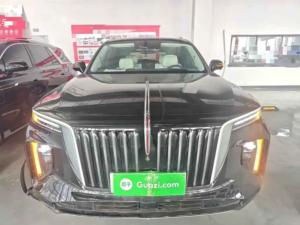 Hongqi E-HS9 2023 из CN, фото 7