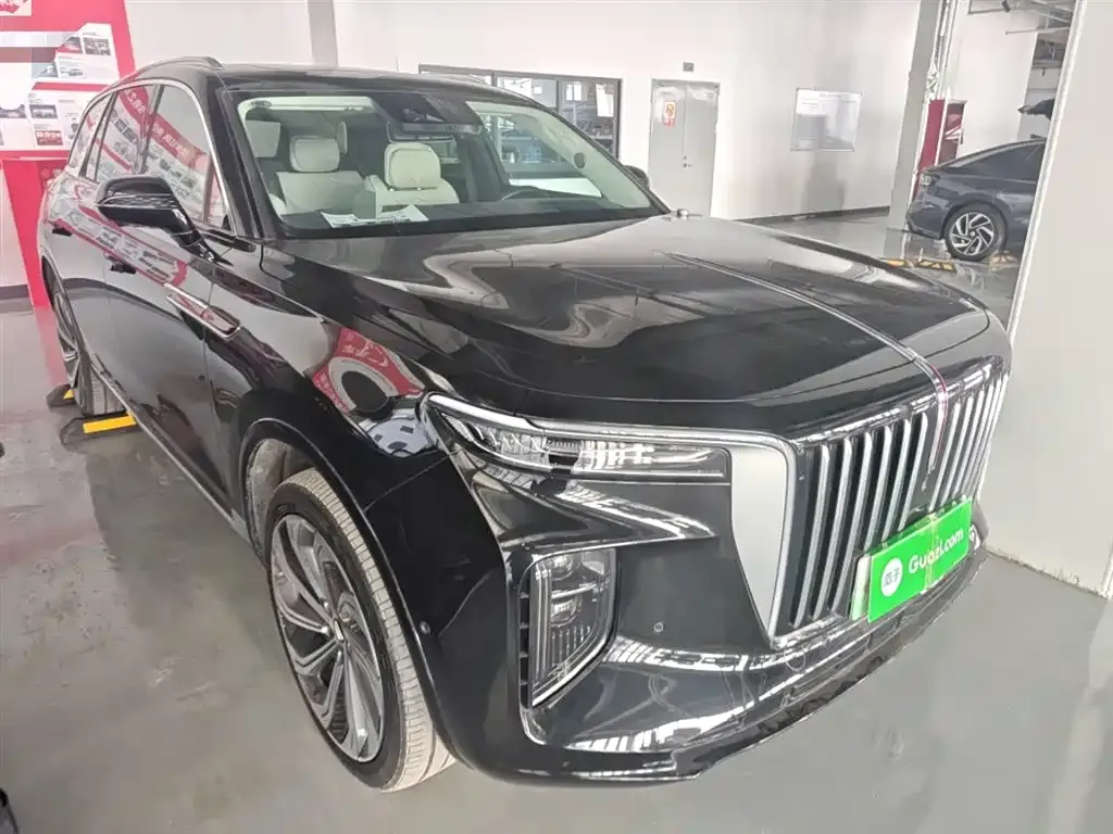 Hongqi E-HS9 2023 из CN, фото 9