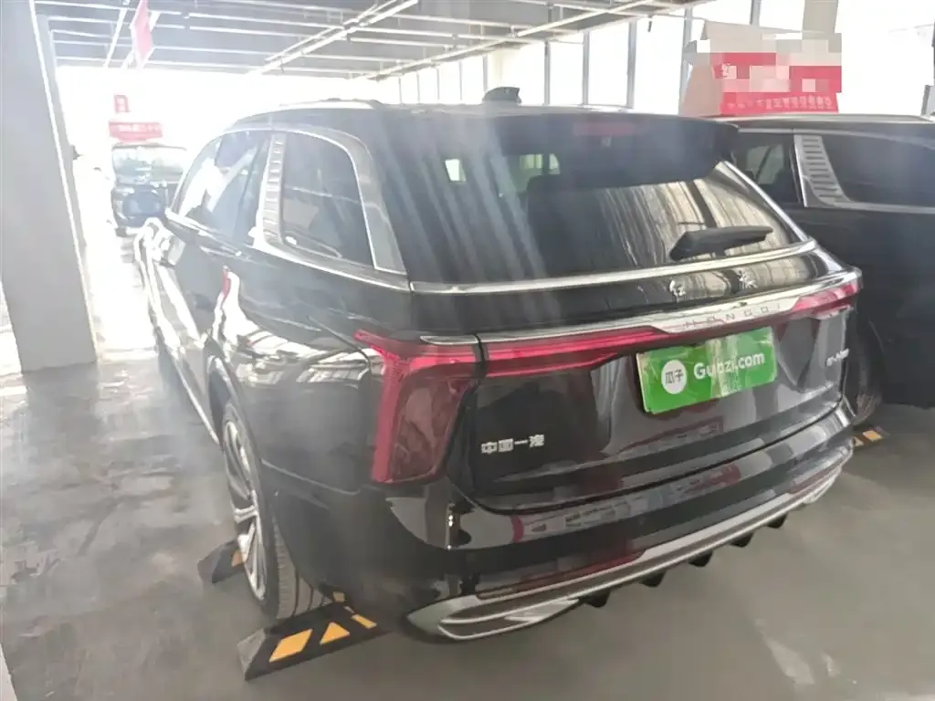 Hongqi E-HS9 2023 из CN, фото 4