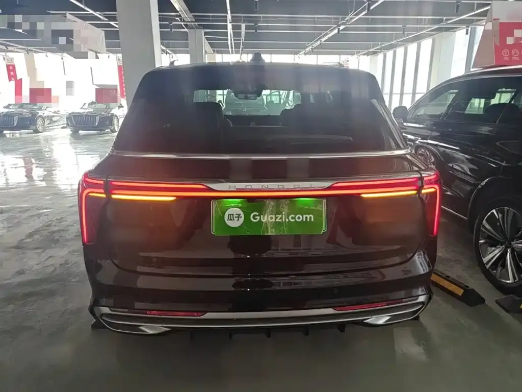Hongqi E-HS9 2023 из CN, фото 8