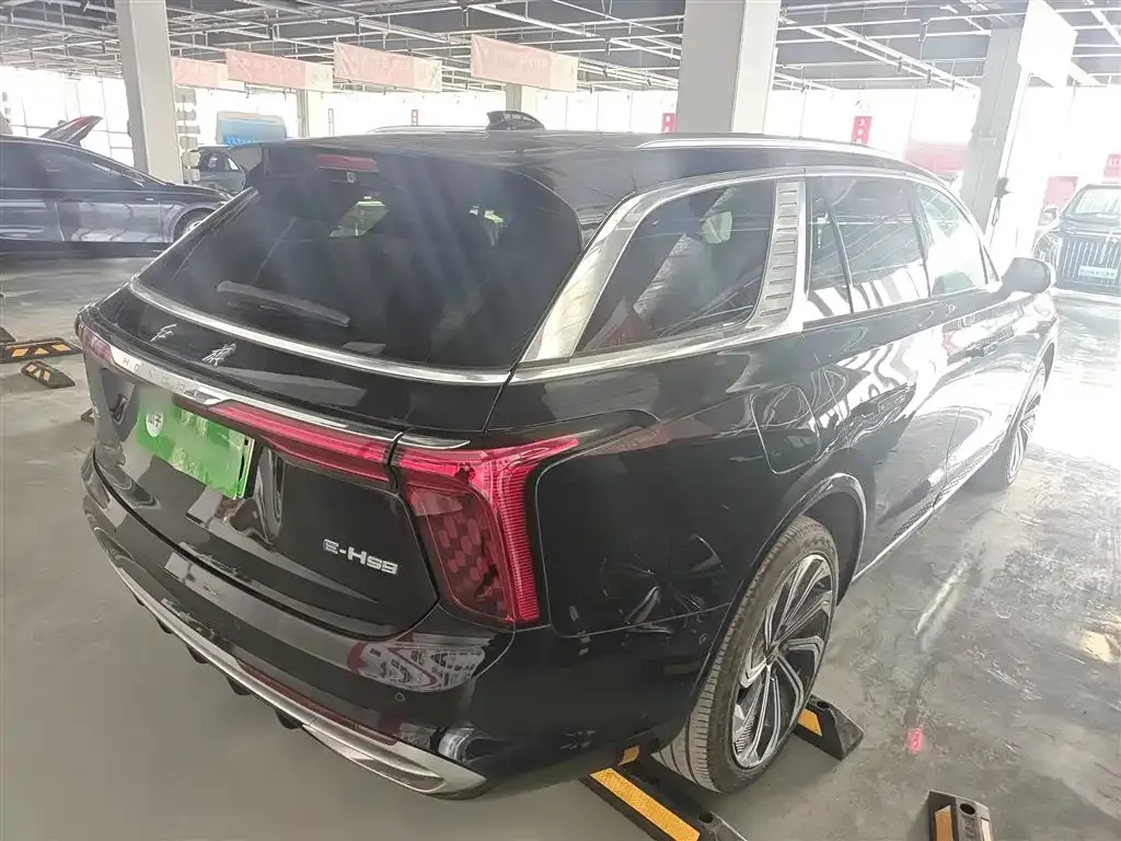 Hongqi E-HS9 2023 из CN, фото 10