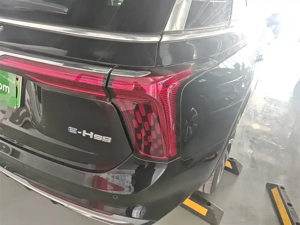 Hongqi E-HS9 2023 из CN, фото 6