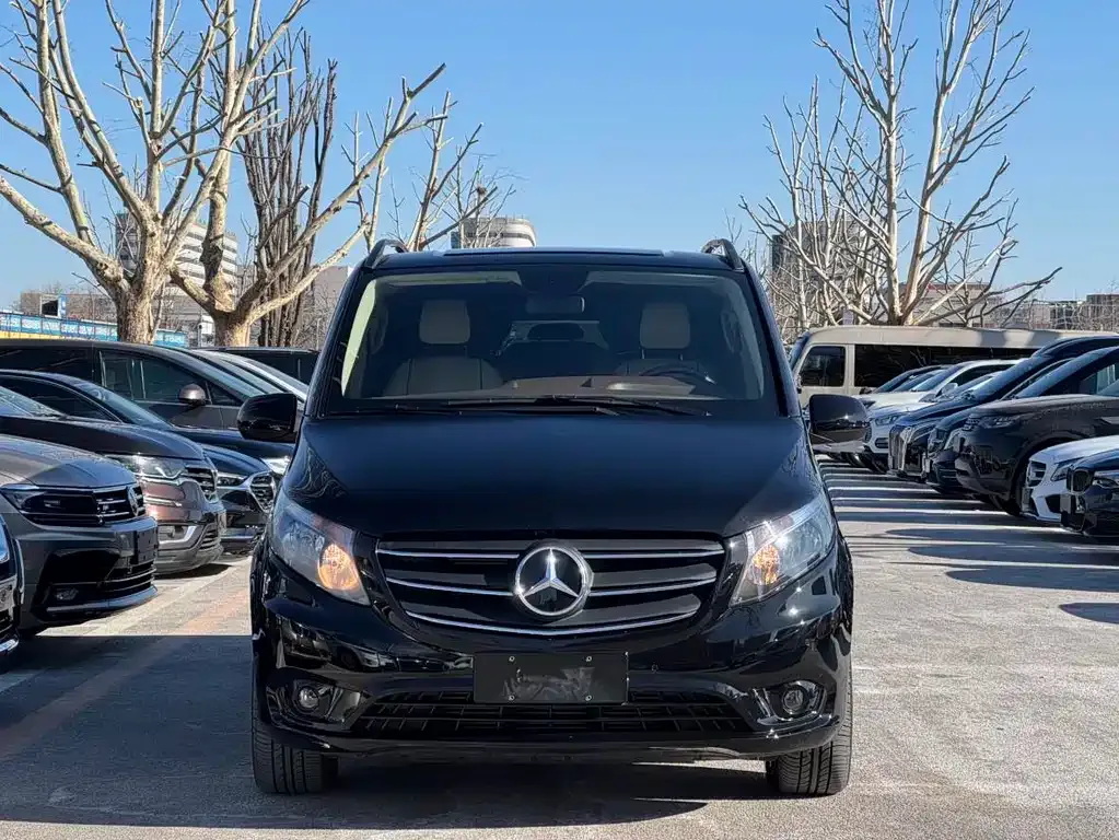 Mercedes-Benz Vito 2021 из CN, фото 9