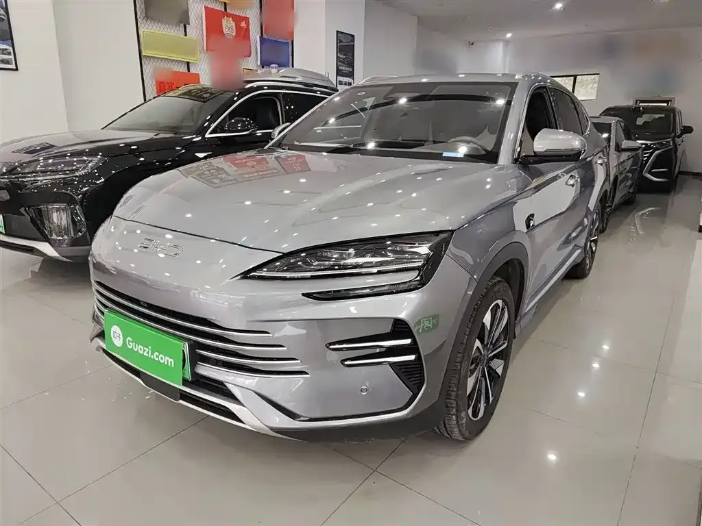 BYD PLUS New Energy — фото 1