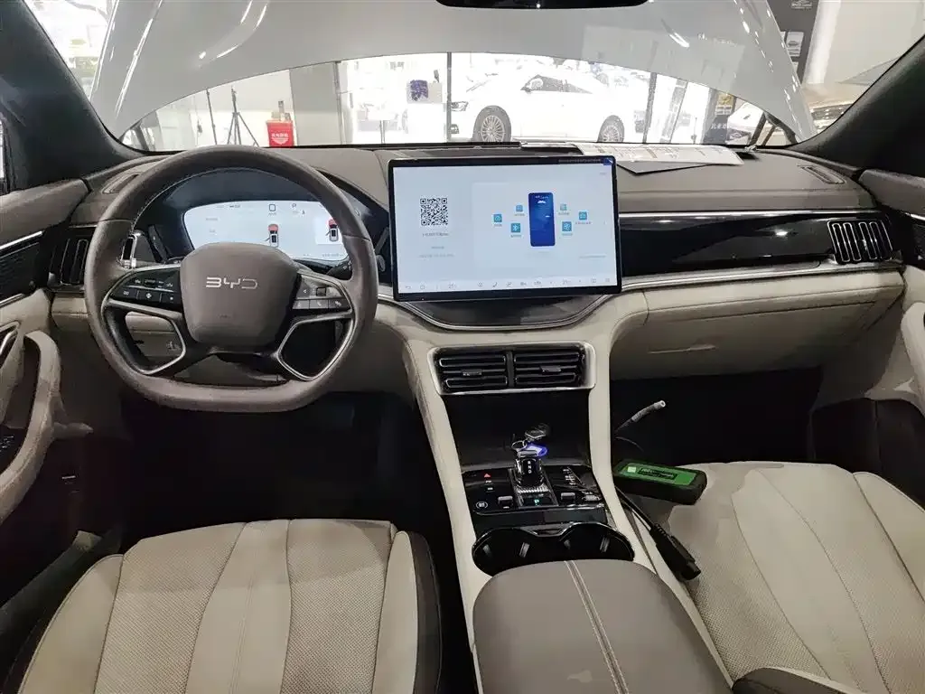BYD PLUS New Energy — фото 10