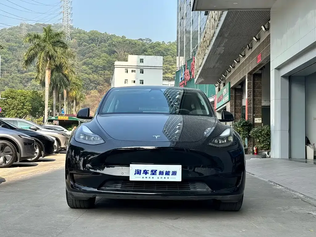Tesla Model Y — фото 8