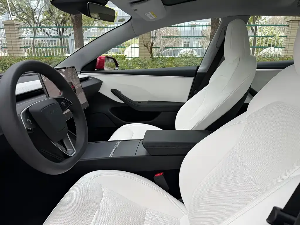 Tesla Model 3 2023 из CN, фото 2