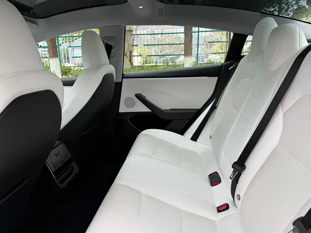 Tesla Model 3 2023 из CN, фото 3