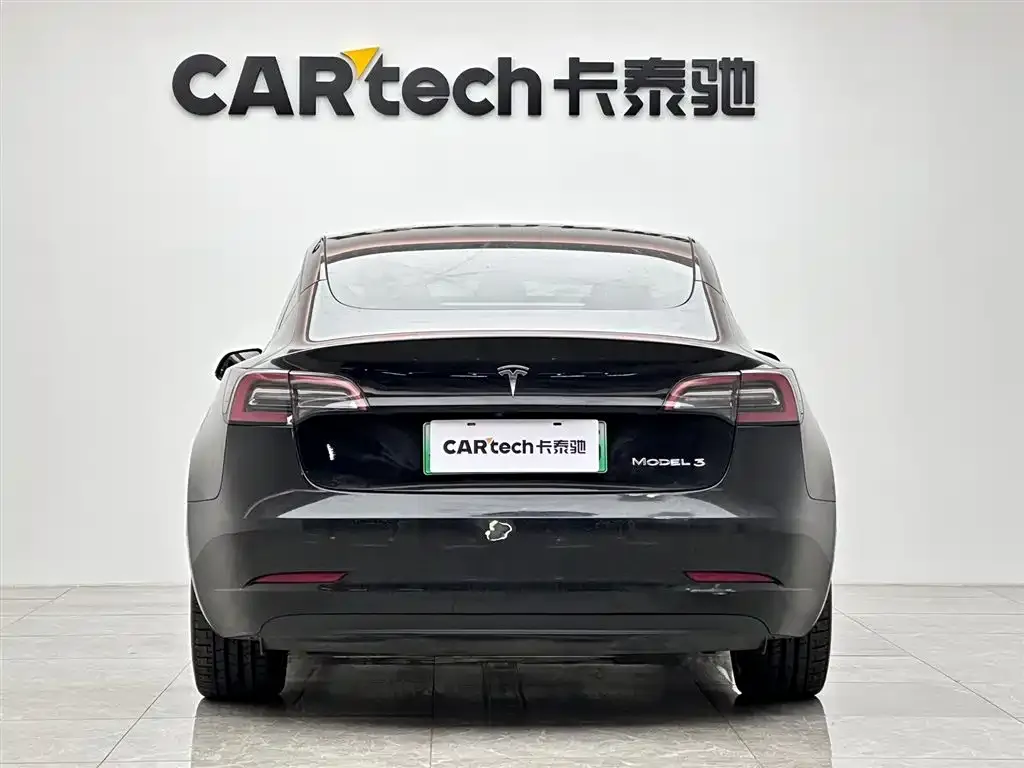 Tesla Model 3 2021 из CN, фото 6