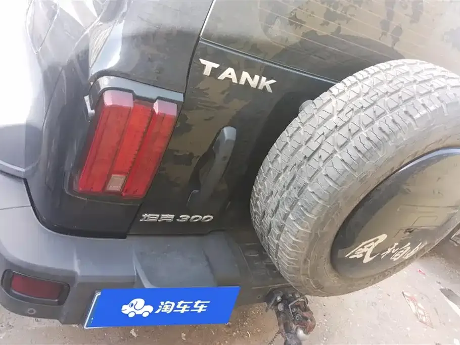 Tank 300 2021 из CN, фото 5
