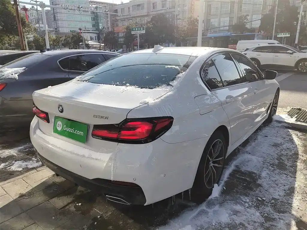BMW 5 Series (Import) 2023 из CN, фото 5
